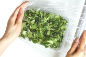 Don't Put Plastic Wrap on Your Food, Here's Why