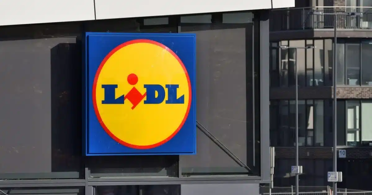 This Essential Device Sold for €29.99 at Lidl Is a Huge Hit and Nobody Expected It